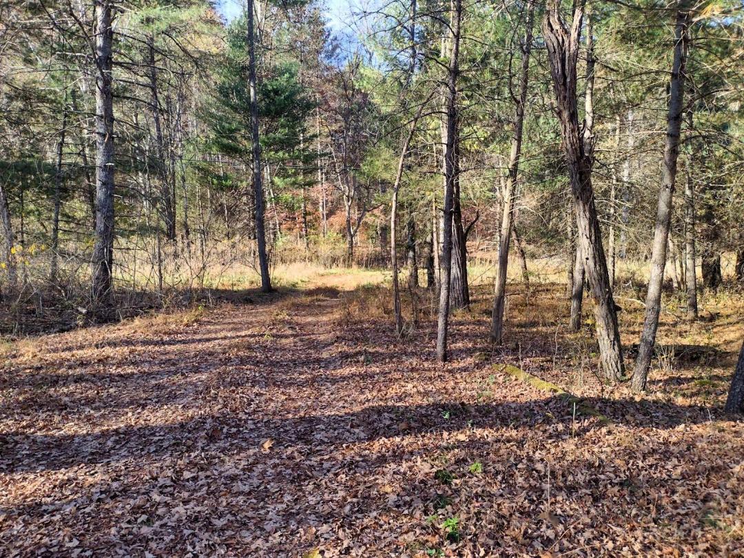 Land Adjoining National Forest
