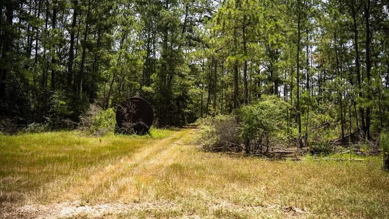 54547526-19