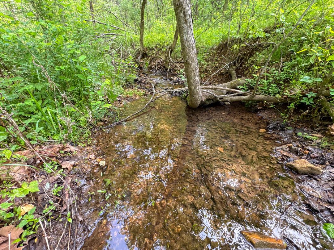 Stone County 21