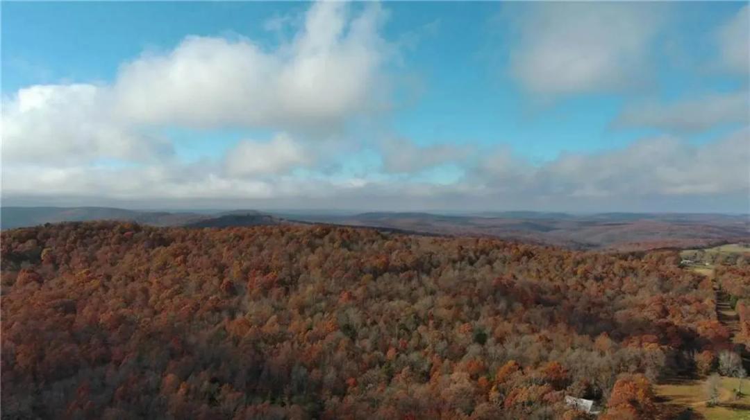 Ozark Land | Buffalo River Region