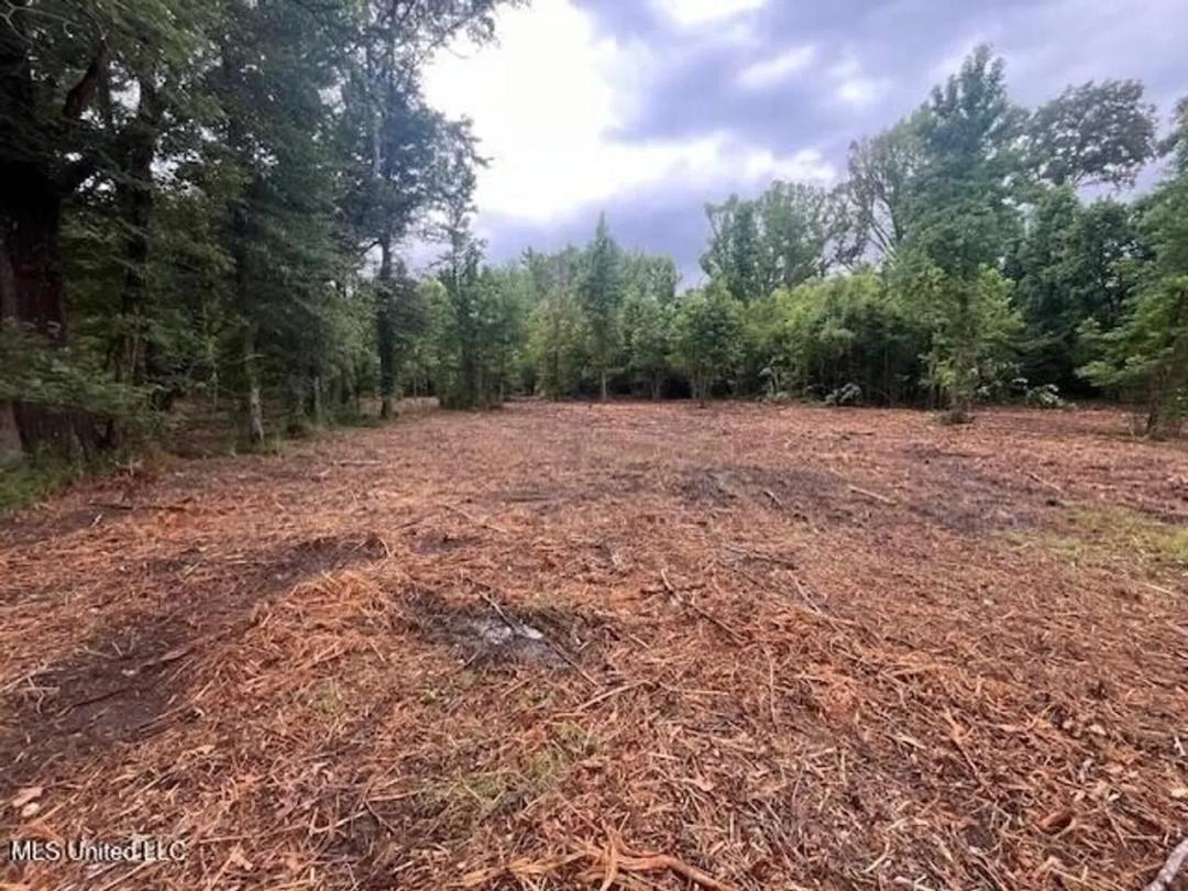 10.82 Prime Commercial Property in Raymond, MS