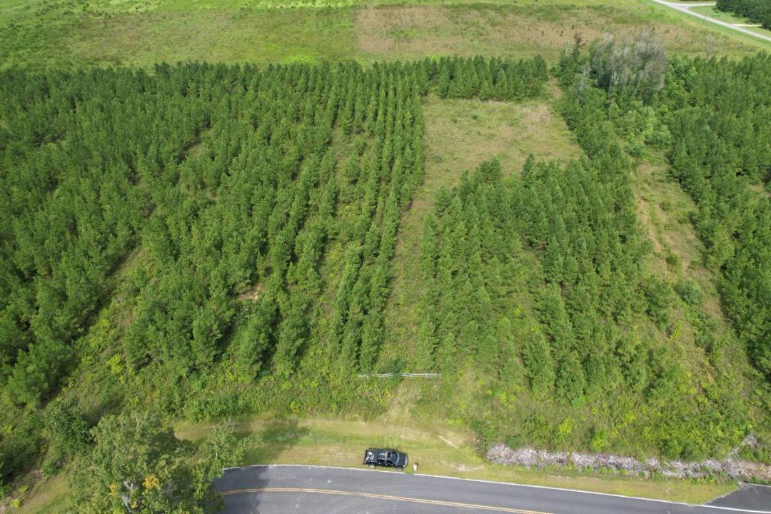 10 +/- Acres - Calhoun County - Cypress Point Tract