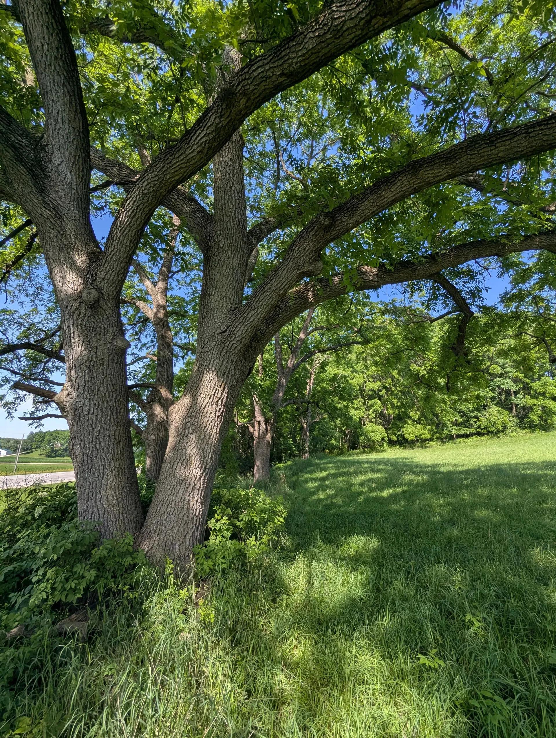 54640731-17