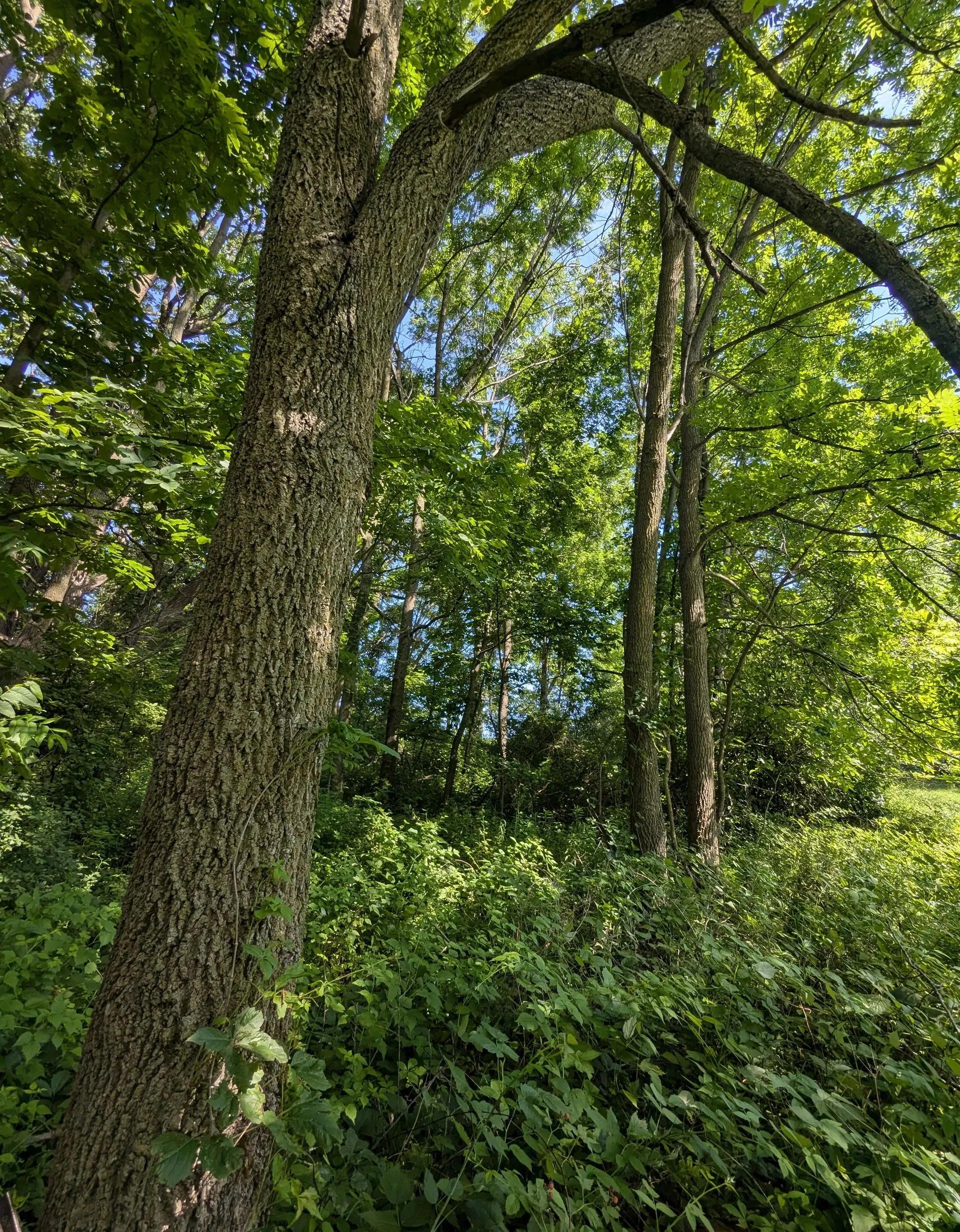 54640731-20