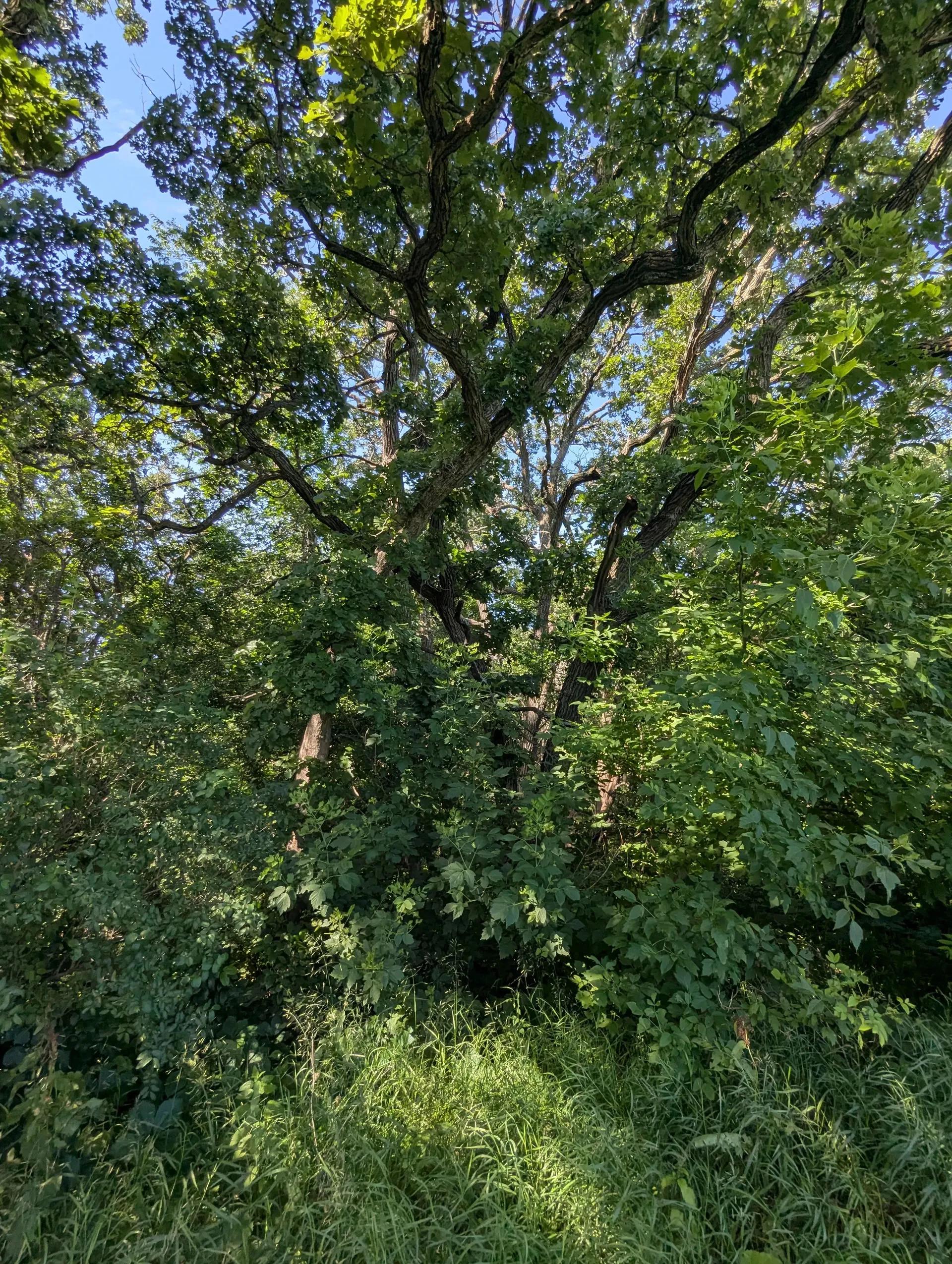 54640731-28