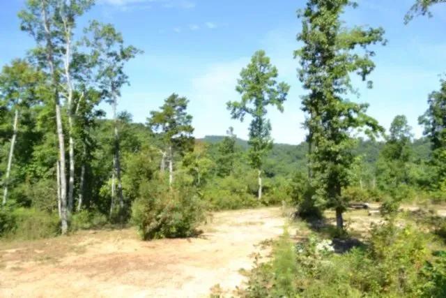 9.85 AC W/ LAKE & MTN VIEWS / CABIN / DOUBLE OUTSIDE SHOWER / 2 STORY PLATFORM / SPRINGS / AT THE END OF THE ROAD / PRIVATE / SECLUDED