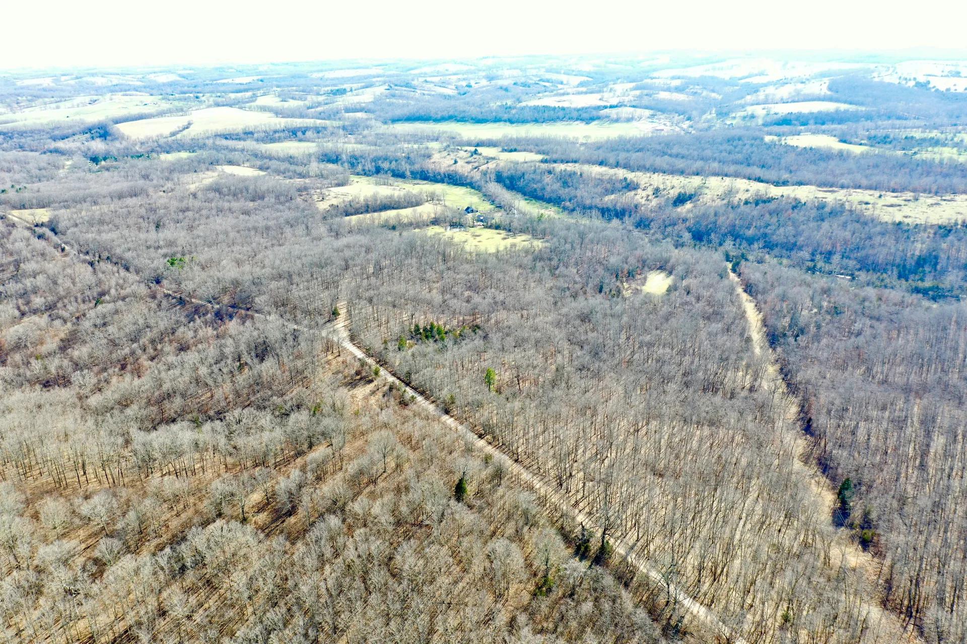 54705621-15