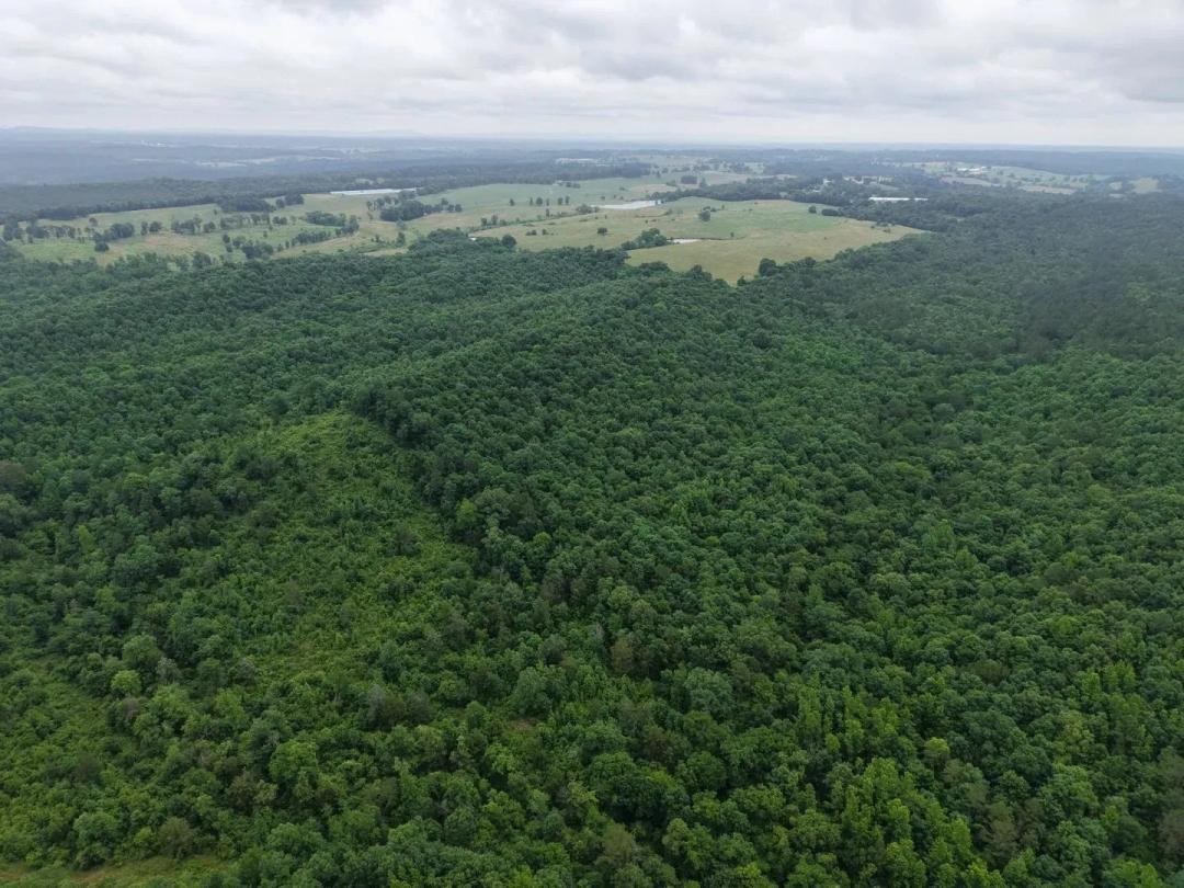 154 Acres in Sevier County, AR 