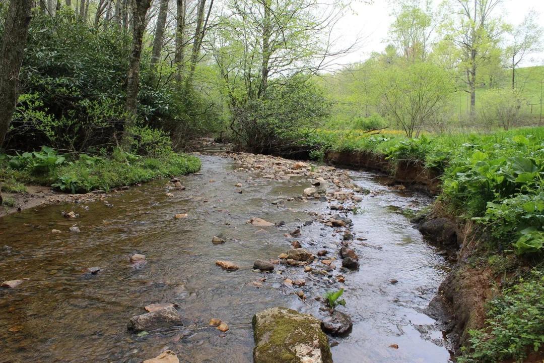 70 Acres in Carroll County, Virginia