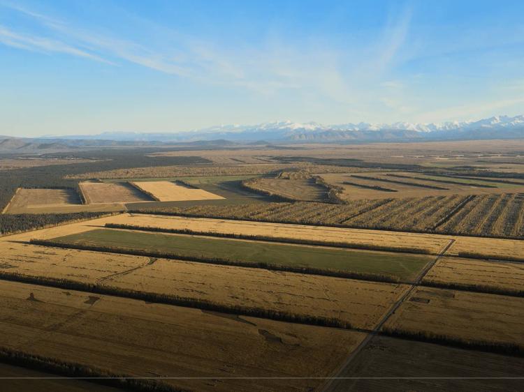Schultz Farms