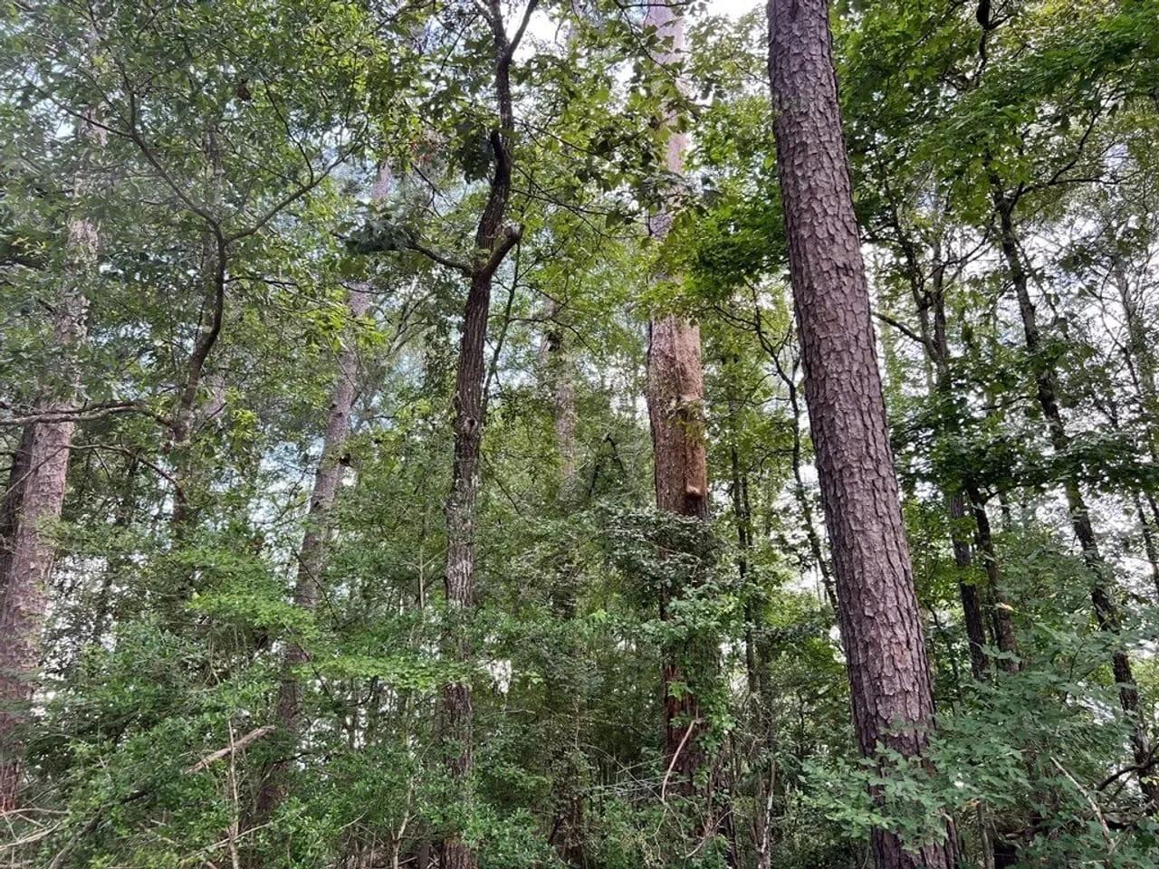 54807987-14