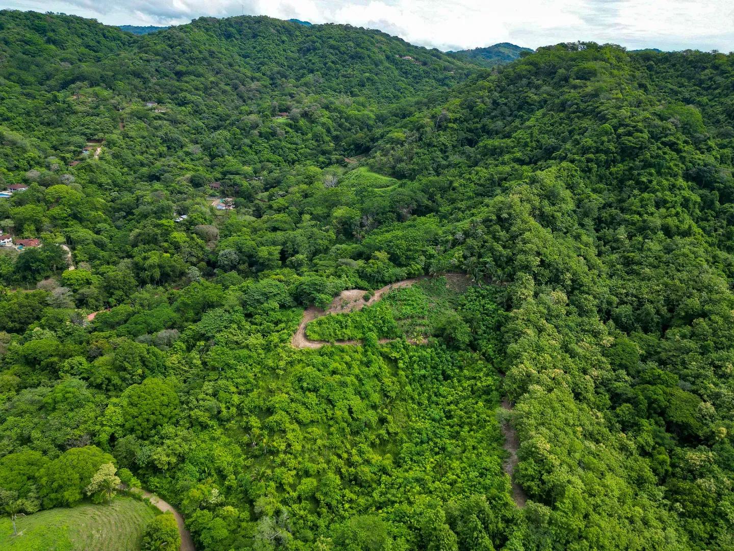 DJI_0229