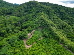 DJI_0230