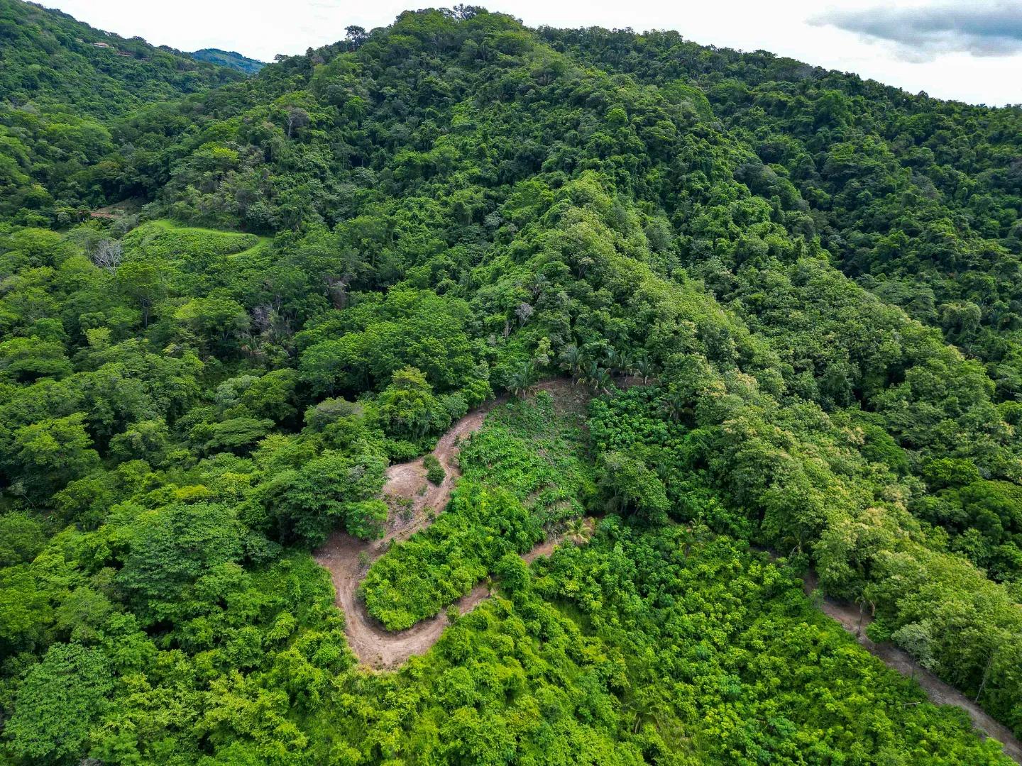 DJI_0230