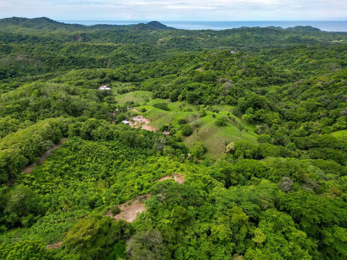 DJI_0232
