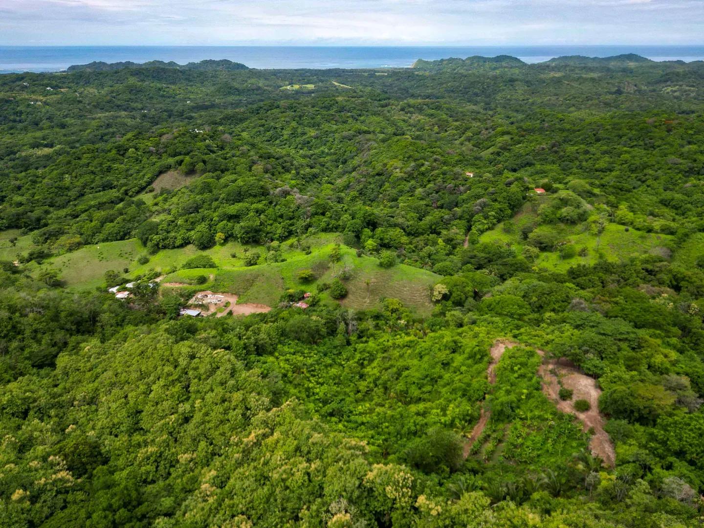 DJI_0235