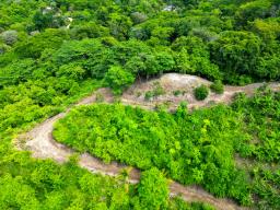 DJI_0236