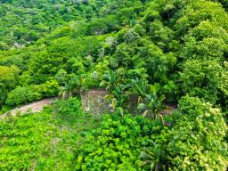 DJI_0237