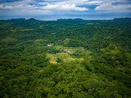 DJI_0330