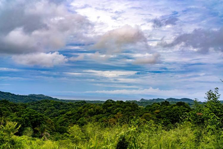 Finca Montana - 125 acre finca with stunning ocean views