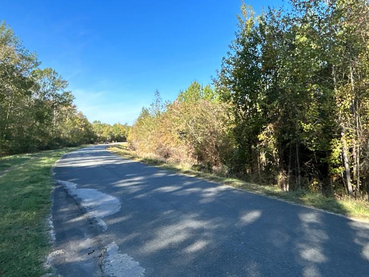 Timberland For Sale in Louisiana