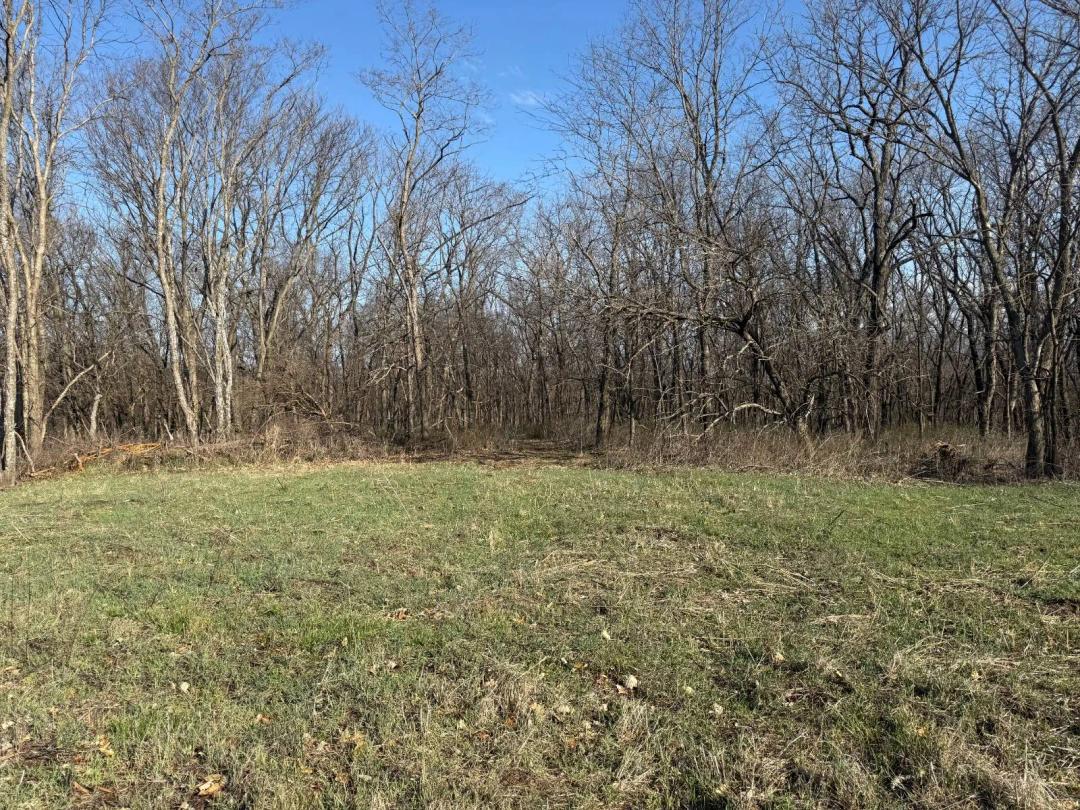8 Acres of Timber - Great Hunting