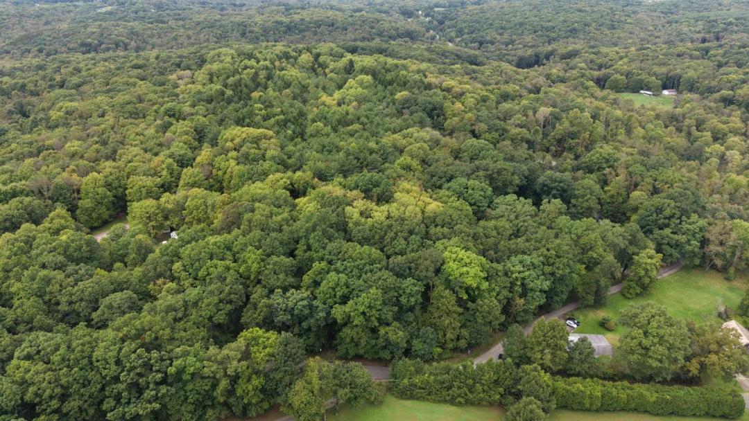 23.5 Wooded Acres in Clay Township, Butler County