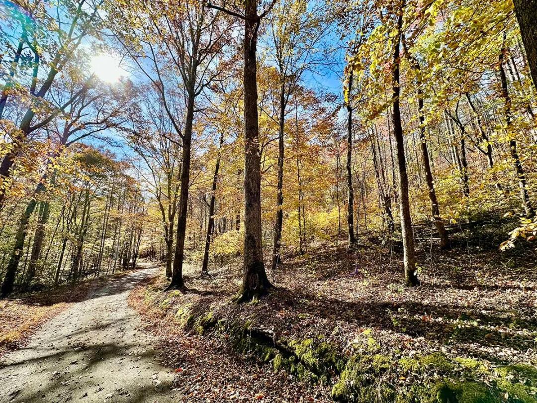 21 plus Acres in Tracts: 3