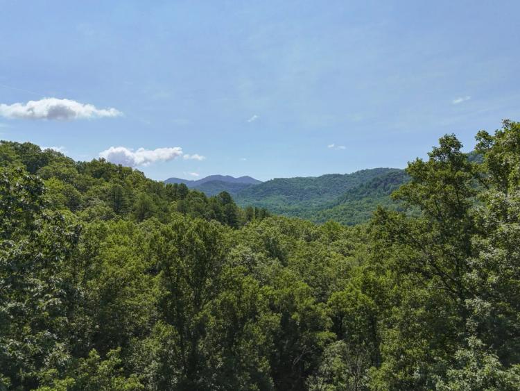 11.25 Acres at 201 Ironwood Lane