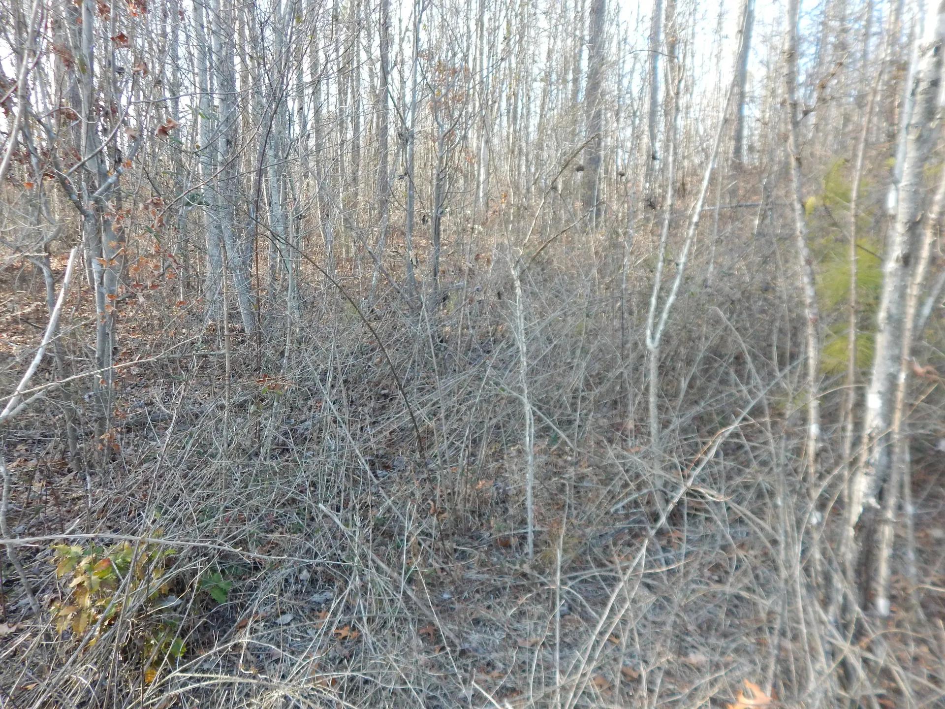 55000854-15