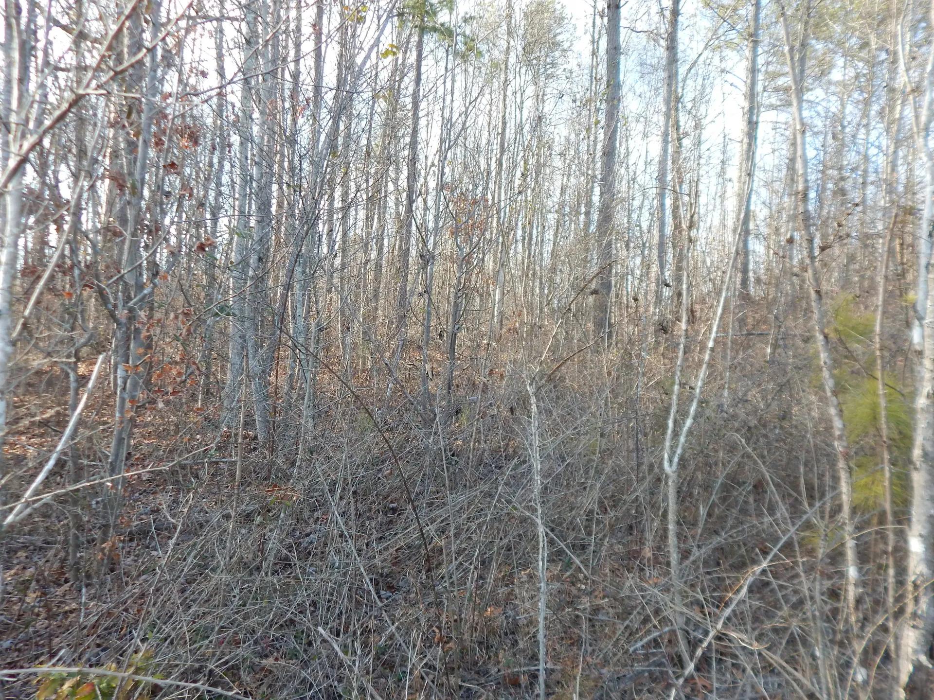 55000854-16