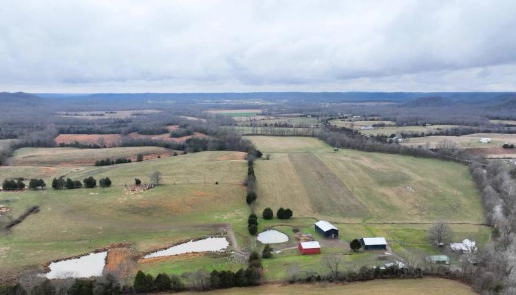 100.00 Acres at 0 Raikes Hill Road