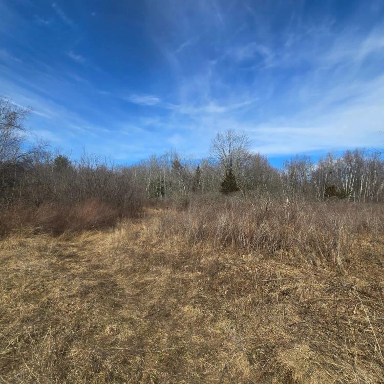 9 acre Building Lot Power Available Orleans NY