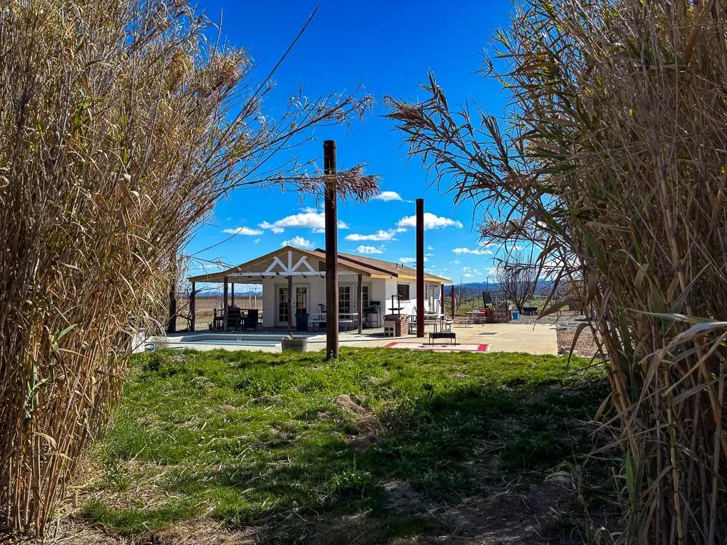 Spring Photos small-05