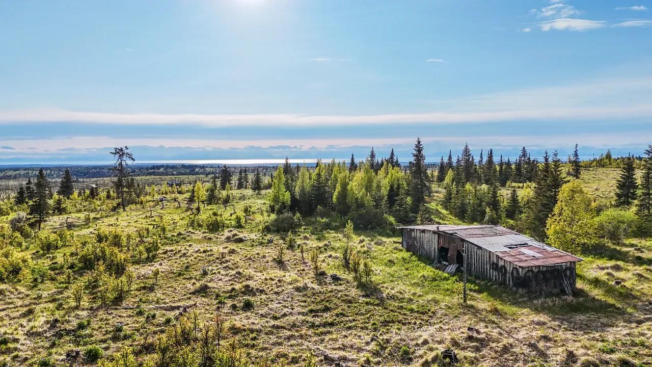 55054394-27