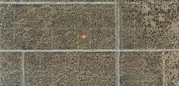 img_H77908066100120-aerial-1