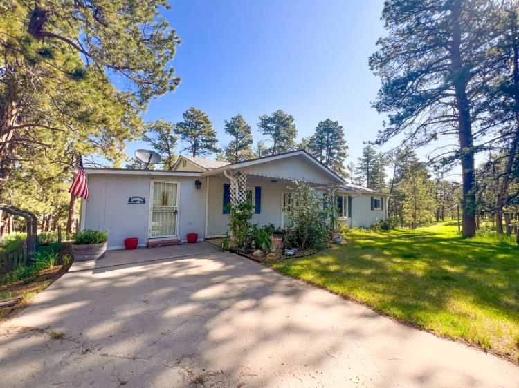 Wilde Elizabeth Horse Property