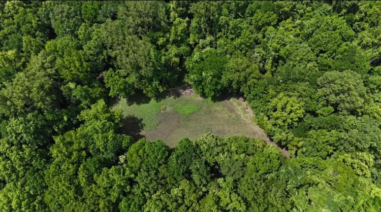 332 Acre Hunting Property with Camp in Jefferson County MS