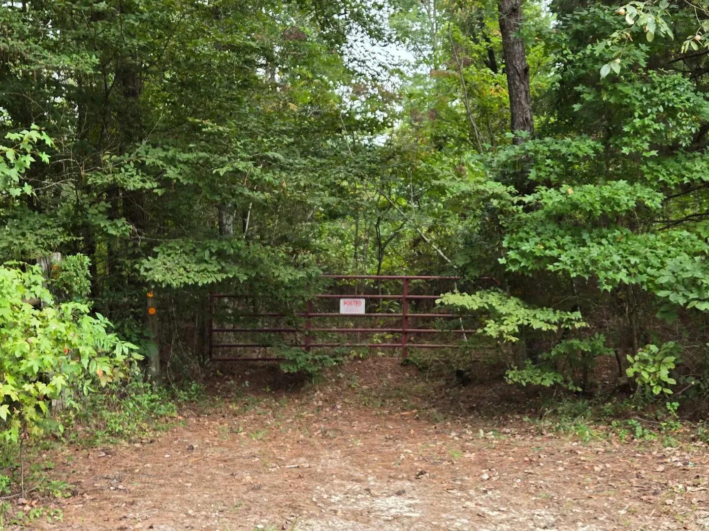 55075080-20