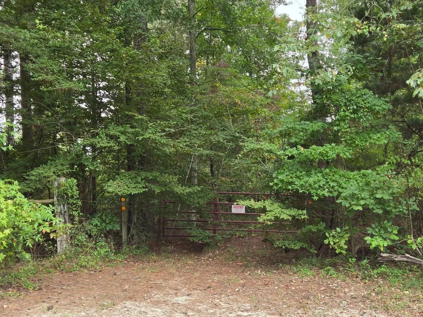 55075080-21
