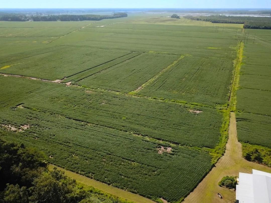 11.8 Acres of Residential Land For Sale in Chesapeake, VA!