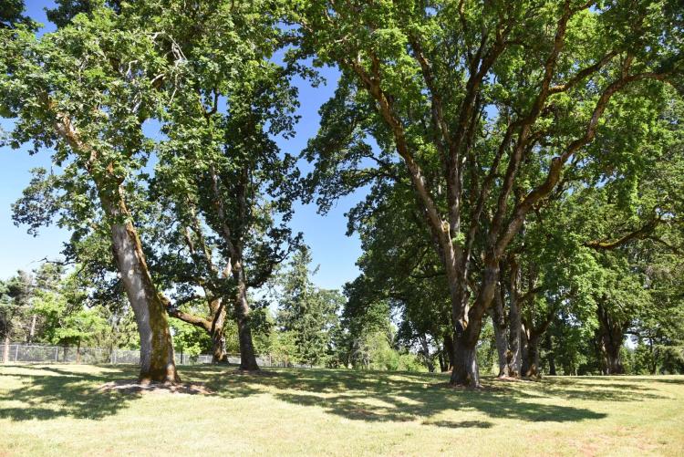 Buildable Lot - Historic Macleay Area - Salem, Oregon