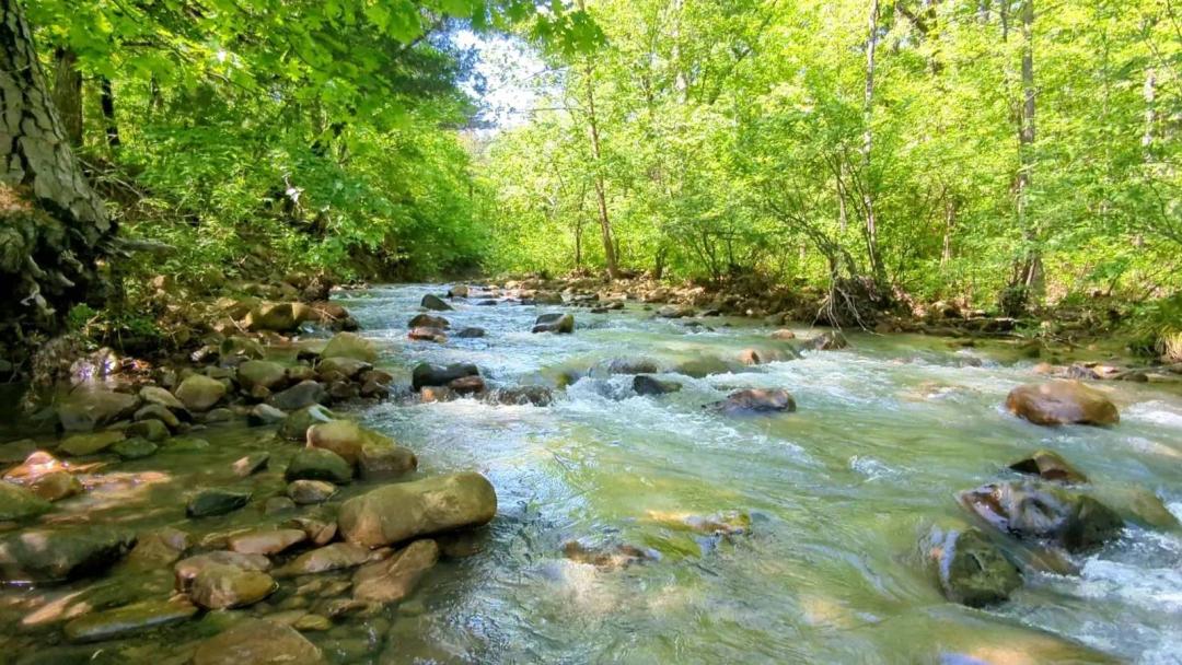 Oklahoma Mountain Land - Big Brushy Creek