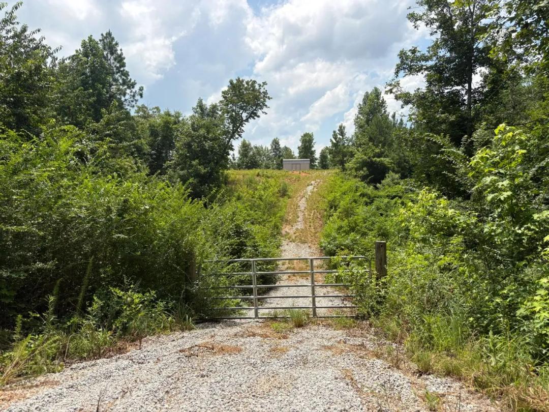 31.57 Acres Clay County, AL 