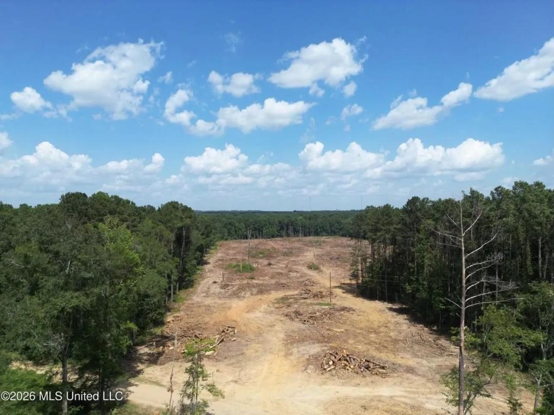 25 Acres for Sale Lincoln County MS
