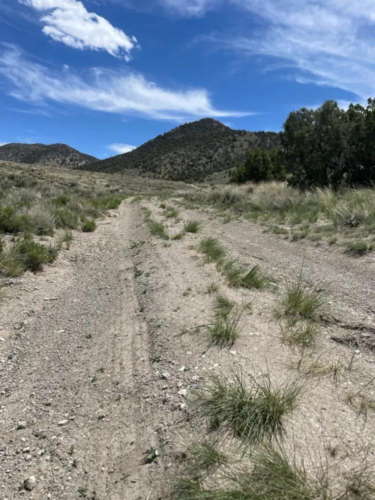 10 Acres in Elko County NV with Mountain Views – $325/Month