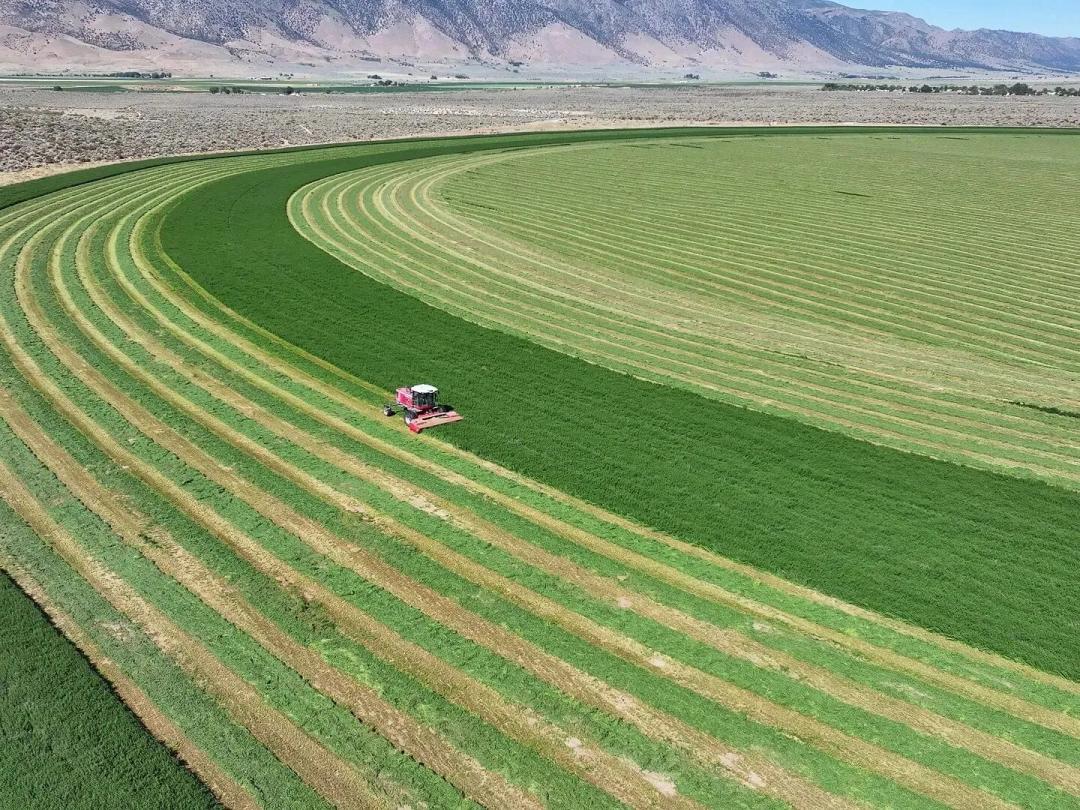 Drifting Hills Ranch