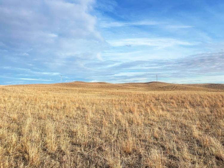 187 Acres, Cherry County, Secluded Sandhills Range