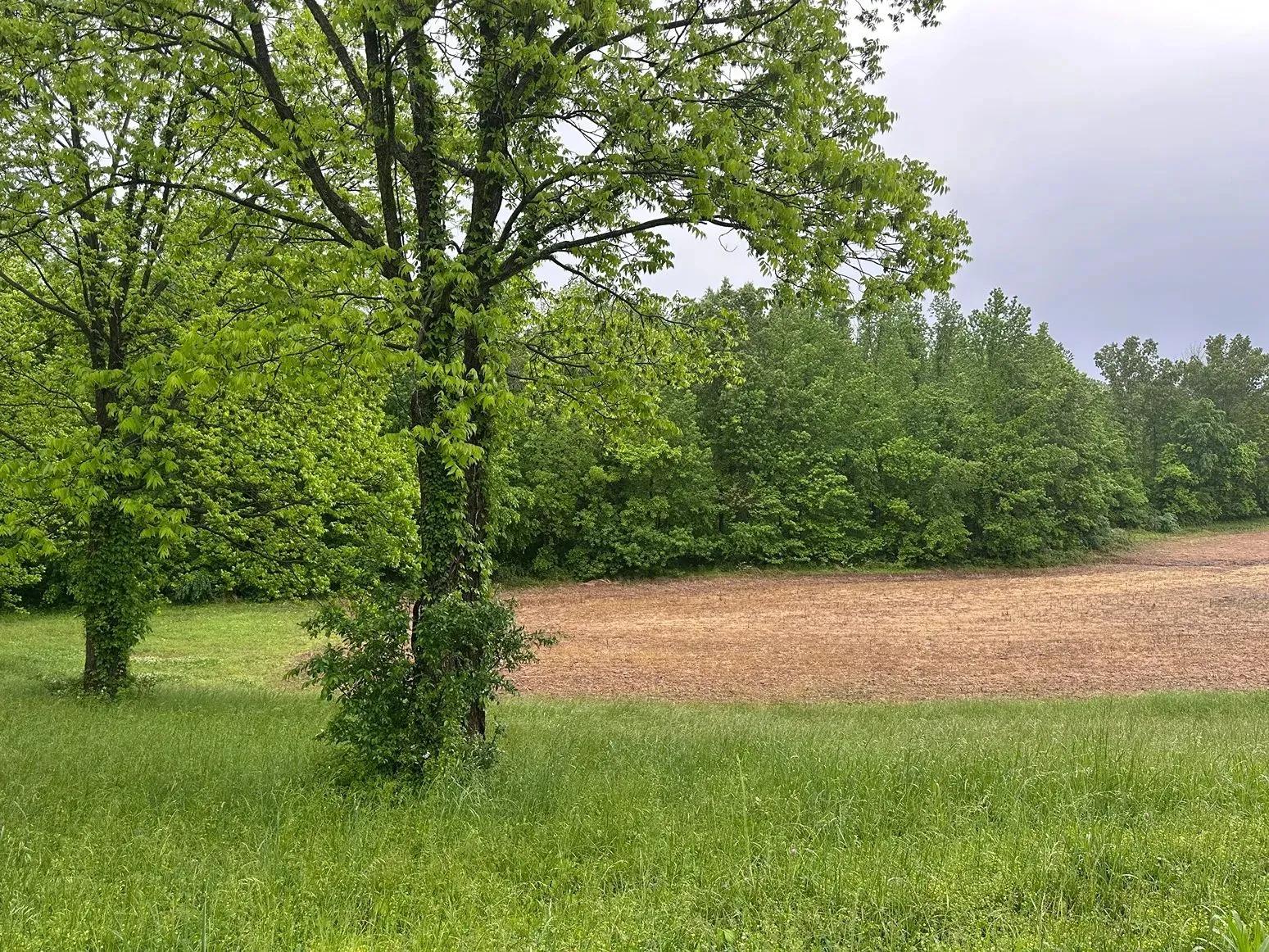 55308692-3