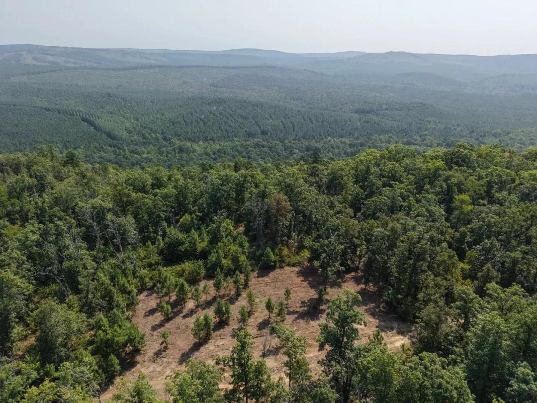 80.57 Acres in Mccurtain County, OK 